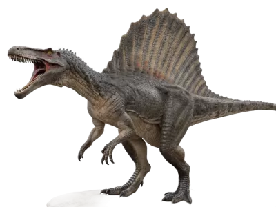 Imagen PNG para descargar